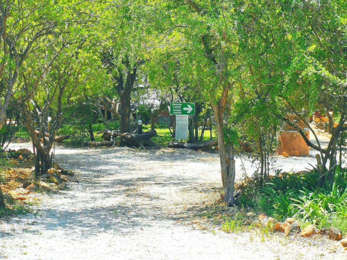 Mali Mali Safari Lodge Hoedspruit Exterior foto
